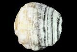 Free-Standing, Banded Zebra Calcite - Mexico #155773-1